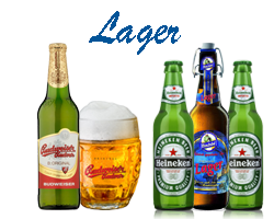 Lager Beer
