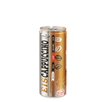 Hochwald Iced Cappuccino 24 x 0.25 l can